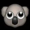 Emilycorder  - @emilyanncorder12234 - TikTok