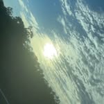 Emily - @coster.emily - Instagram