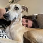 Emily Cover - @co.emily - Instagram