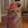 Emily Coy - @emily.coy8 - TikTok