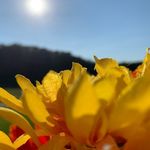 Emily Crisp - @_emily_takes_pictures_ - Instagram