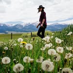 Emily Critser - @emilyfilms - Instagram
