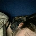 Emily Crowson - @emilysunwantedstuff - Instagram