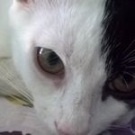 Emily_cucciola - @nnxyhb - Instagram