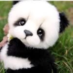 Isabella Ferreira - @emily_cuddle213 - Instagram