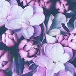Emily.Cuff - @emily.cuff - Instagram