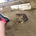 Emily Cupp - @misty18505 - Instagram