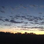 Emily Cupp - @emily_cupp_backup - Instagram