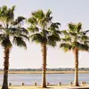 Emilycuppia - @emilycuppiaa - TikTok