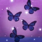 Emily - @emily_damron3 - Instagram