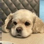 서정 - @emilydamronduk - Instagram