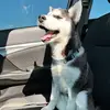 Emily Denham - @emily.denham38 - TikTok
