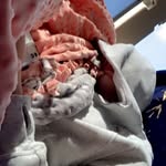Emily Denham - @intrusive_emily24 - Instagram