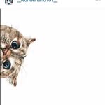 Emily Denning - @emily._.denning - Instagram