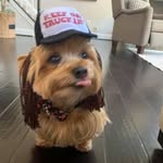 Emily Devault - @bruh_bot_oo - Instagram