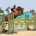 Emily Devlin - @emilyshowjumping_ - Instagram