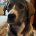 Emily Dewey - Facebook