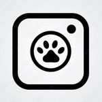 emily deyoung - @paw_pics.ct - Instagram