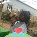 Emili Dior - Facebook