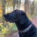 Emily Dorman - Facebook