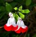 Emily  Dowell - Facebook