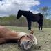 Emily Dufour - Facebook