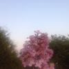Emily Duval - @emilyduval43 - TikTok
