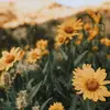 Backup of EmilyEasterlingx - @emilyeasterlingxbackup - TikTok