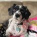 Emily Edelman - Facebook