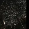 emilylepley  - @emilylepley_1245 - TikTok