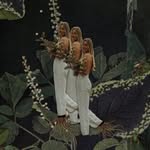 EMILY ELIZABETH | 𝑮𝒐𝒍𝒅𝒔𝒎𝒊𝒕𝒉 ∡ - @emilyesterling - Instagram
