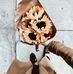 Emily Ferrin - Facebook