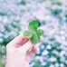 Ferwerda Amelio - Facebook