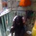 Flavian Imali - Facebook