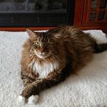 Emily Flickinger - @egorichanaz - Instagram