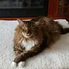 emilyflickinger - @emilyflickinger - TikTok