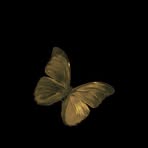 Emily Fly - Facebook