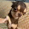 Emily Foerster - @emilyfoerster - TikTok