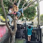 Emily Fordham - @emilycfordham - Instagram