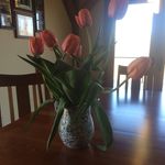 Emily @ Forest Flowers - @bloominginthewoods - Instagram