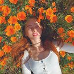 𝐸𝓂𝒾𝓁𝓎 𝐹𝑜𝓇𝑒𝓈𝓉 - @_.emily.forest._ - Instagram