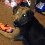 Emily Fransen - @rainbowgirl_130 - Instagram