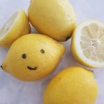 Emily Franson - @enigmatic_lemon - Instagram