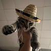 Emily Gabbard - @emily11301 - TikTok