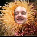 Emily Gale - @emily_the_anemone - Instagram