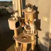 Emily_gatto_[104] - @emilygatto59 - TikTok