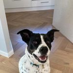 Emily Geer-Smith - @emilygeersmith - Instagram