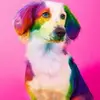 emilygerlach3 - @emilygerlach3 - TikTok