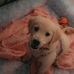 Nicole Kulda - Facebook