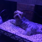 Emily Glover - @emily_glover2004 - Instagram